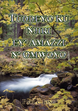 TUDDEYO KU NJIRI EY’ AMAZZI N’ OMWOYO