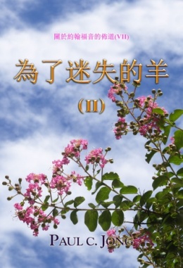關於約翰福音的佈道(Ⅶ) - 為了迷失的羊 (Ⅱ) 關於約翰福音的佈道(Ⅶ) - 為了迷失的羊 (Ⅱ)