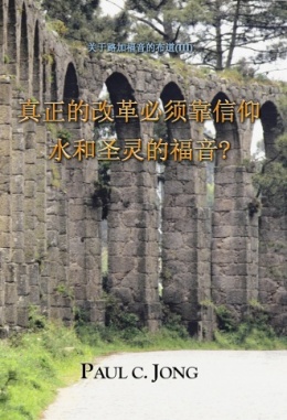 关于路加福音的布道 (Ⅲ) - 真正的改革必须靠信仰水和圣灵的福音? 关于路加福音的布道 (Ⅲ) - 真正的改革必须靠信仰水和圣灵的福音?