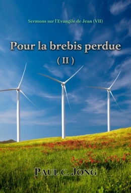 Sermons sur l’Évangile de Jean (Ⅶ) - Pour la brebis perdue (Ⅱ) Sermons sur l’Évangile de Jean (Ⅶ) - Pour la brebis perdue (Ⅱ)