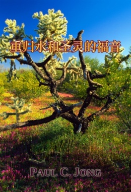 重归水和圣灵的福音 重归水和圣灵的福音