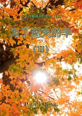 关于約翰福音的佈道 (Ⅶ) - 为了迷失的羊 (Ⅱ)