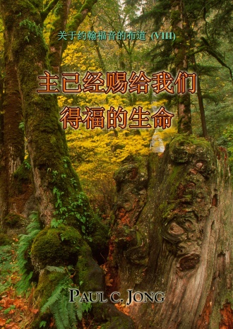 关于約翰福音的佈道 (Ⅷ) - 主已经赐给我们得福的生命