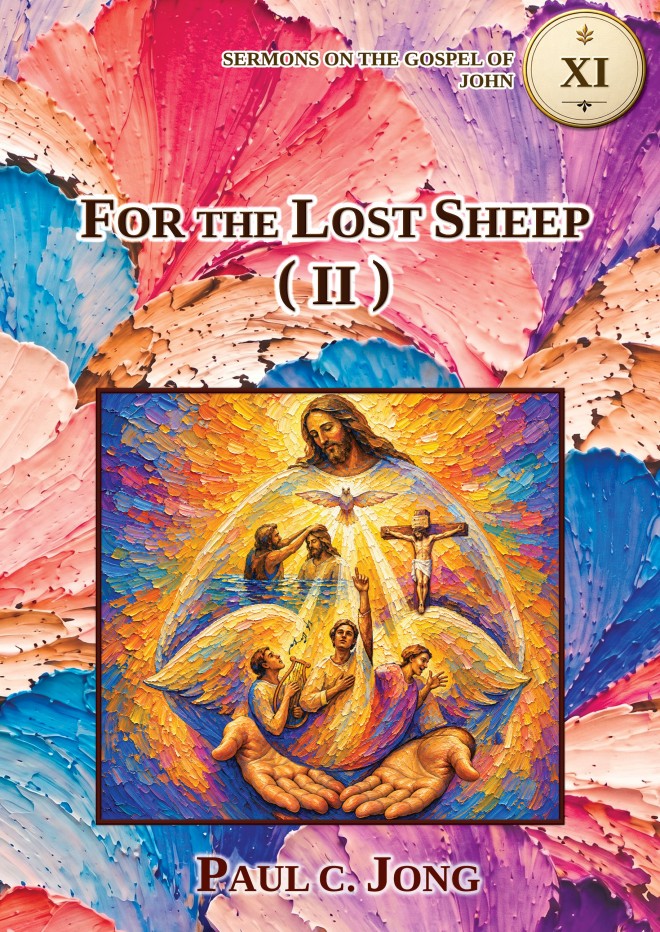 Sermons on the Gospel of John (VII) - FOR THE LOST SHEEP (II)